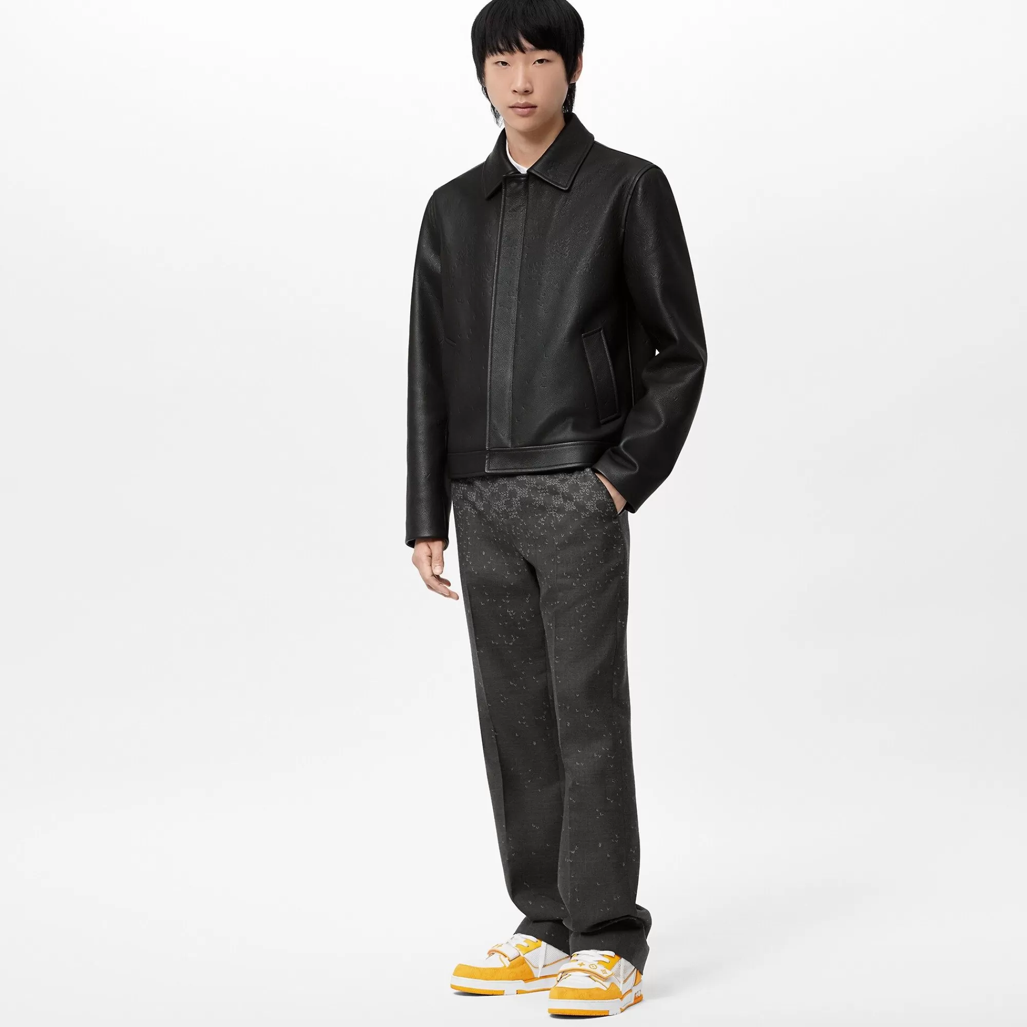 Cheap Louis Vuitton Damier Spread Leather Blouson