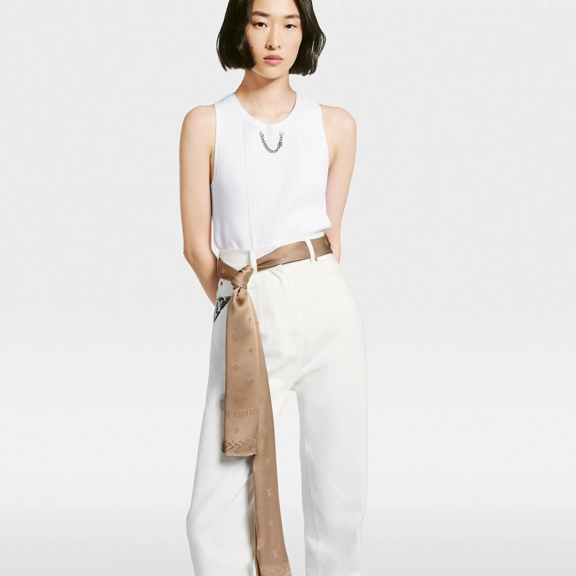 Store Louis Vuitton Lv Spotlight Stole