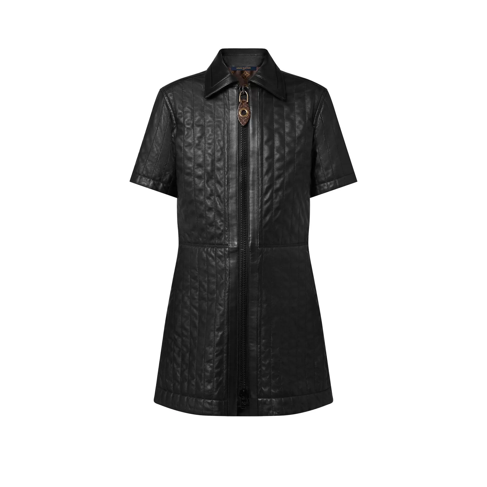Hot Louis Vuitton Pinstripe Leather Zip-Up Dress