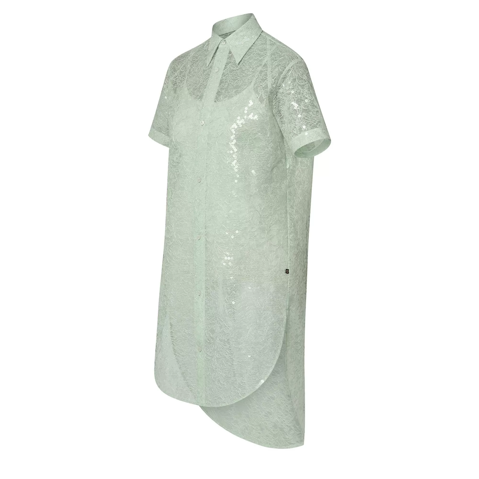 Online Louis Vuitton Sheer Sequin Lace Shirt Dress