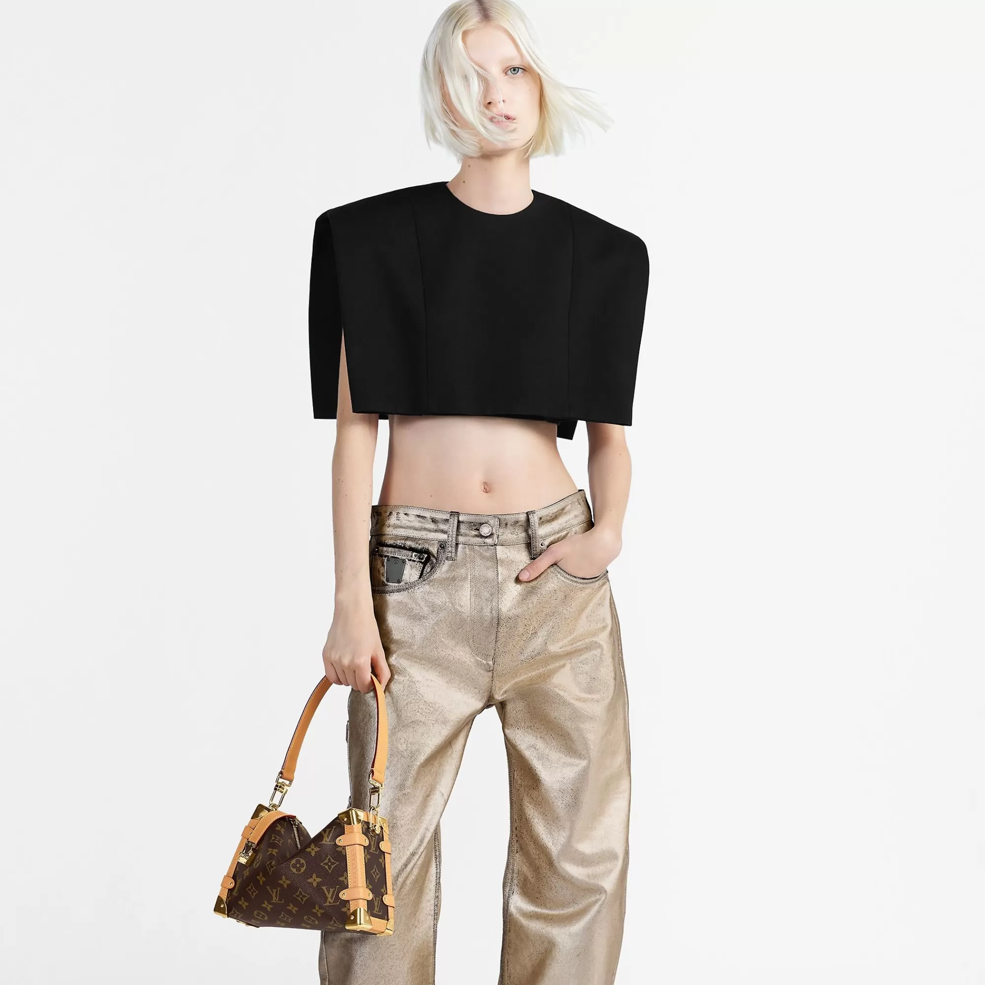 Cheap Louis Vuitton Side Trunk Mm