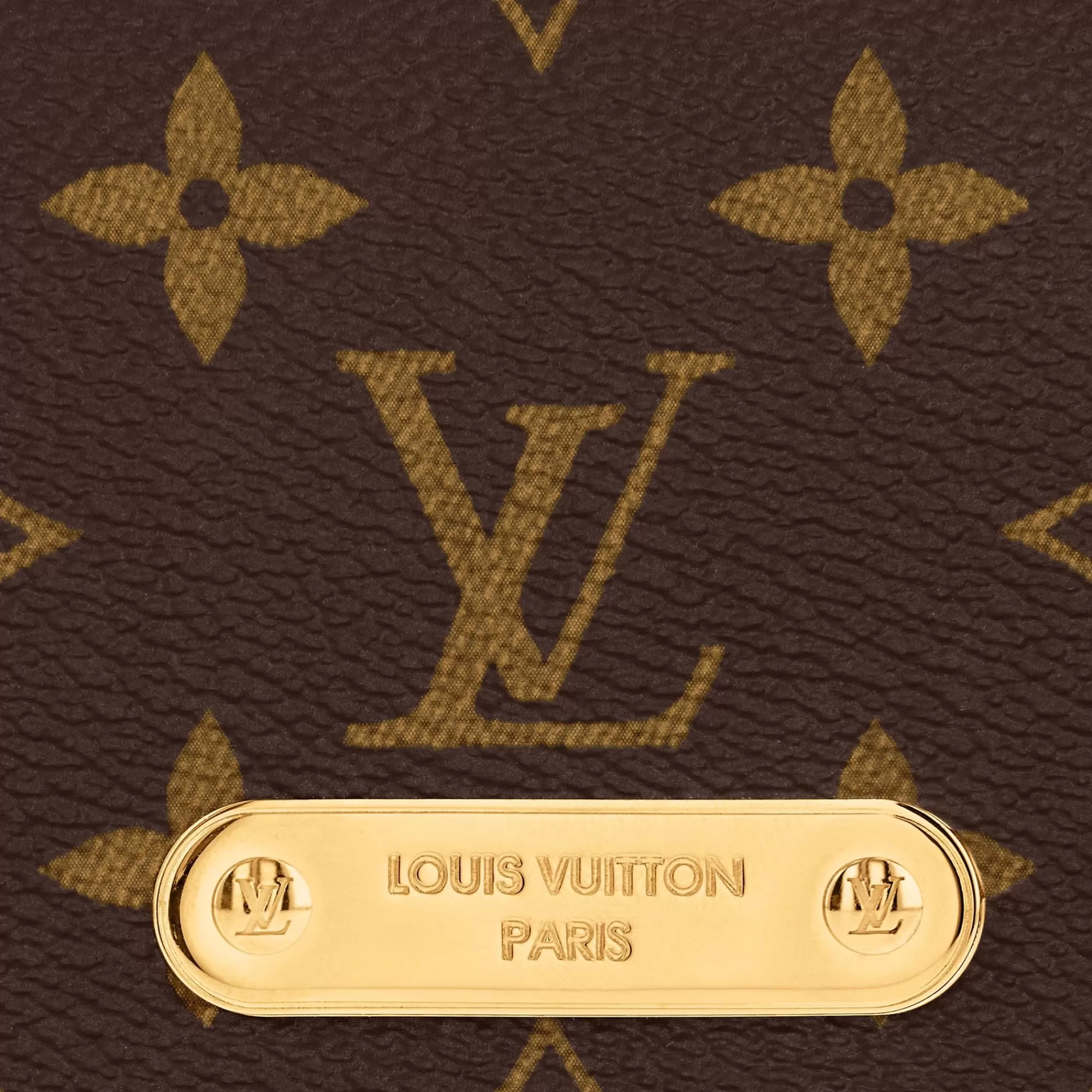 Best Louis Vuitton Wallet On Chain Lily